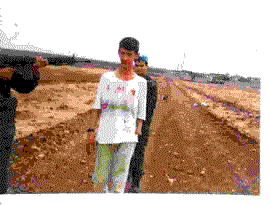celal